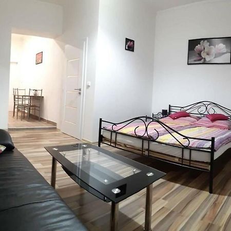 Apartment Krale Jiriho Karlovy Vary Kültér fotó