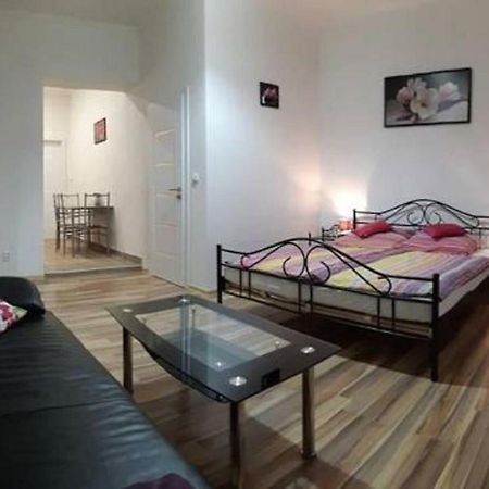 Apartment Krale Jiriho Karlovy Vary Kültér fotó