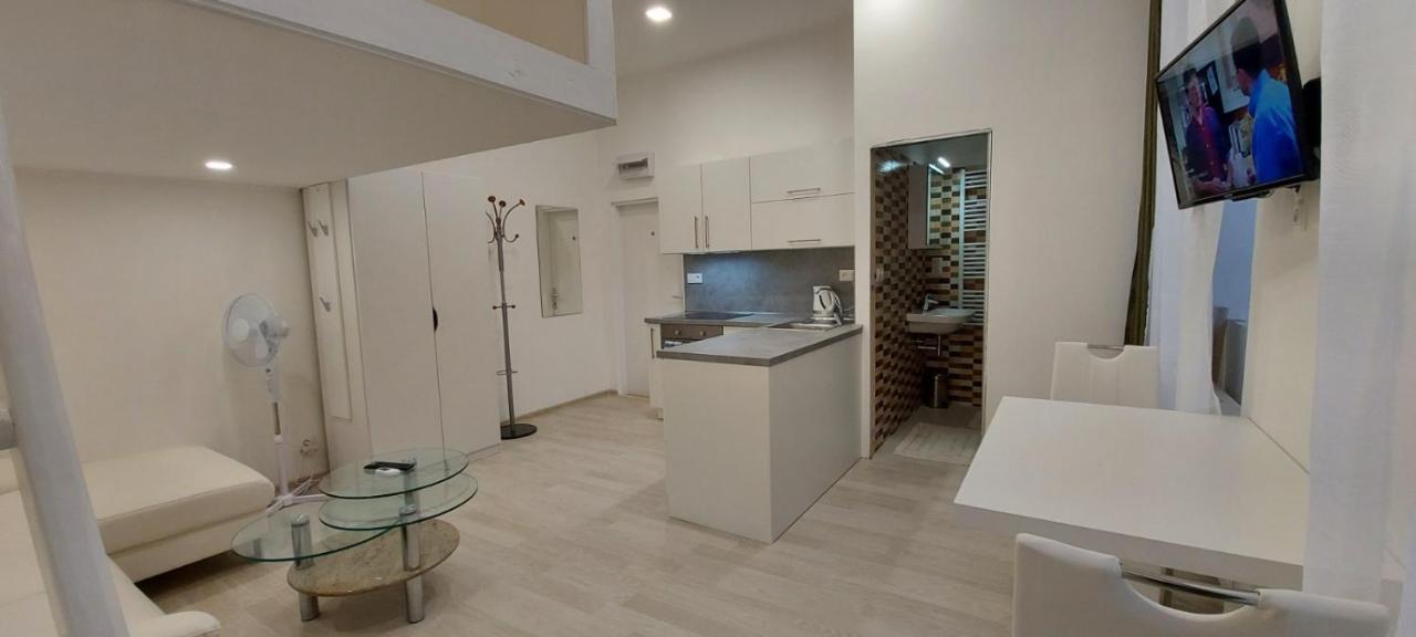 Apartment Krale Jiriho Karlovy Vary Kültér fotó