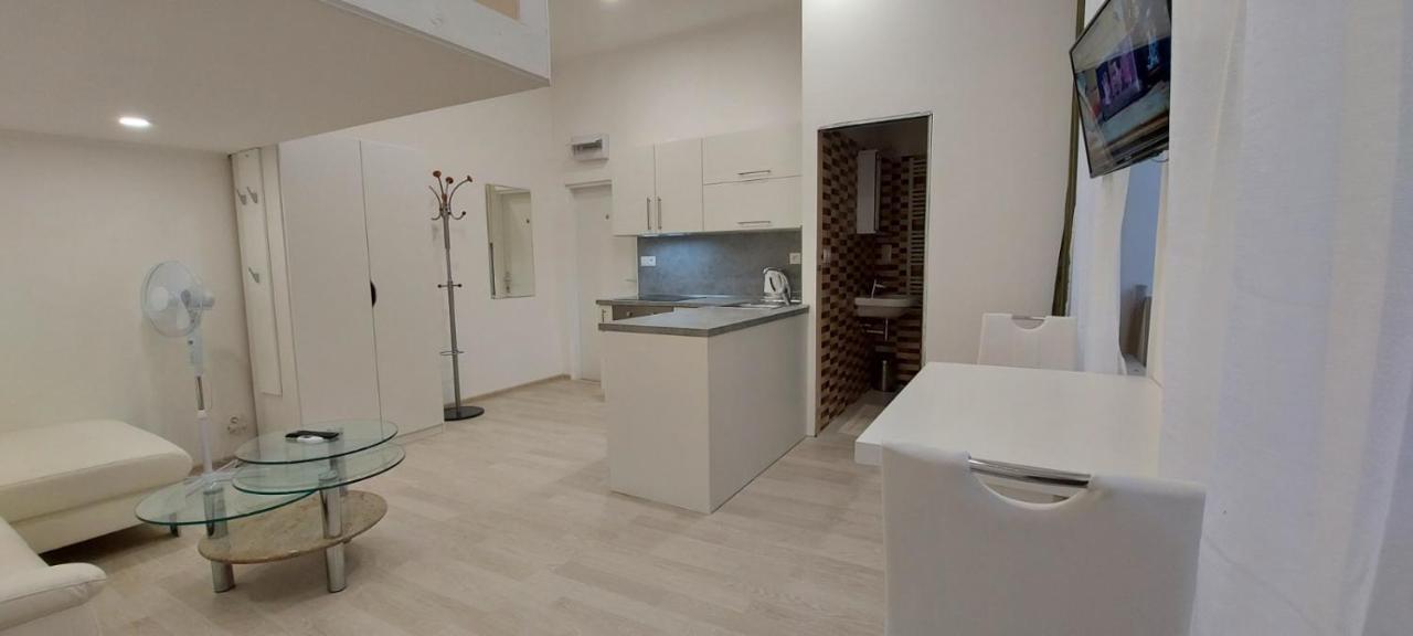 Apartment Krale Jiriho Karlovy Vary Kültér fotó