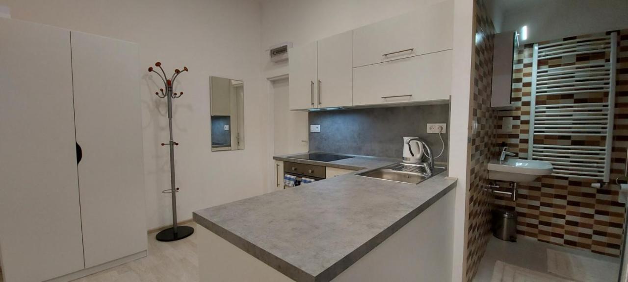 Apartment Krale Jiriho Karlovy Vary Kültér fotó