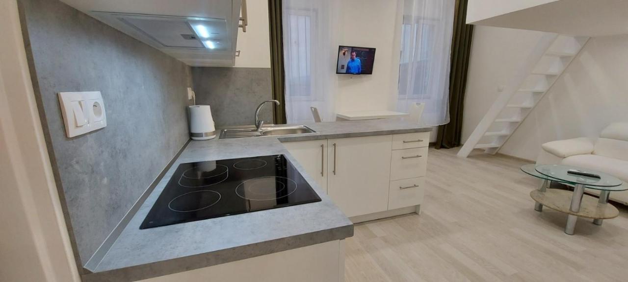 Apartment Krale Jiriho Karlovy Vary Kültér fotó