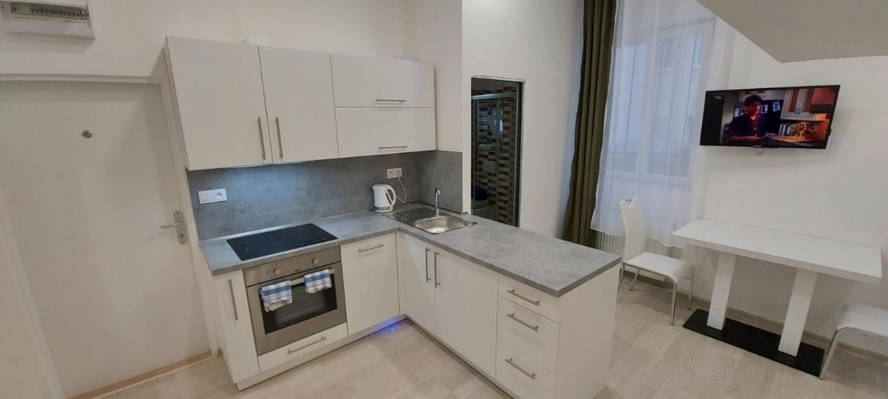 Apartment Krale Jiriho Karlovy Vary Kültér fotó