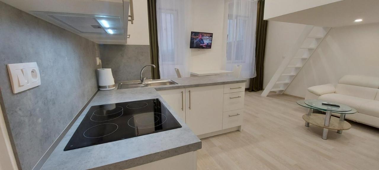 Apartment Krale Jiriho Karlovy Vary Kültér fotó