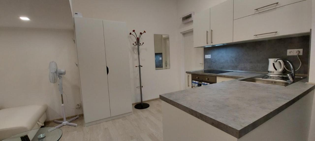 Apartment Krale Jiriho Karlovy Vary Kültér fotó