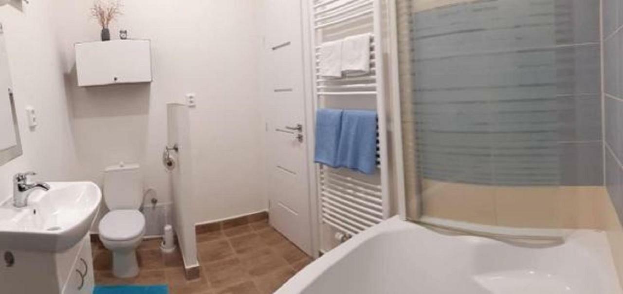 Apartment Krale Jiriho Karlovy Vary Kültér fotó