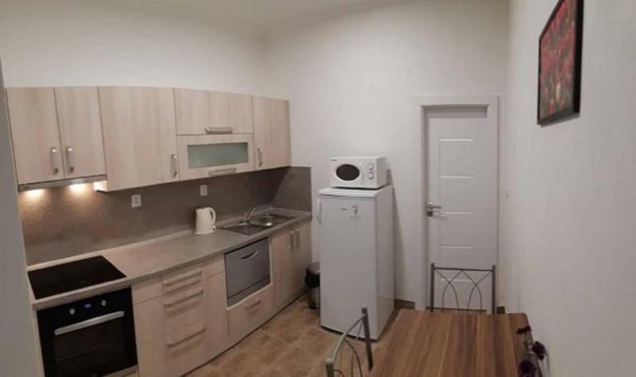Apartment Krale Jiriho Karlovy Vary Kültér fotó