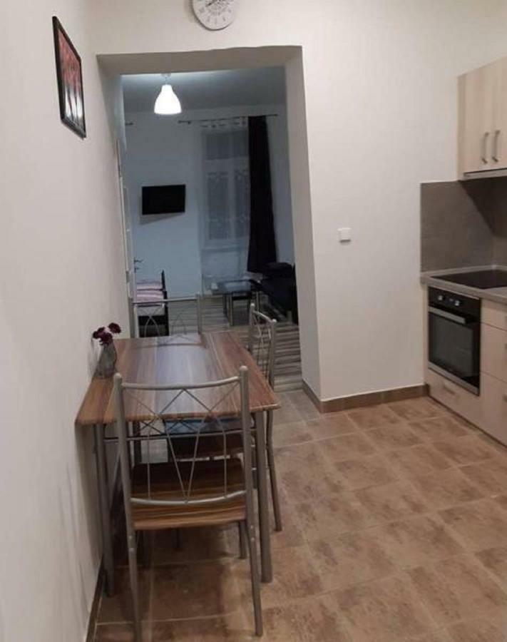 Apartment Krale Jiriho Karlovy Vary Kültér fotó