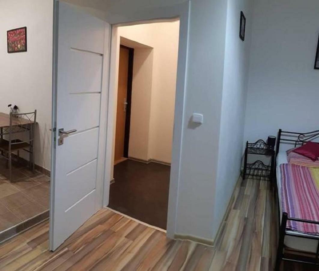 Apartment Krale Jiriho Karlovy Vary Kültér fotó